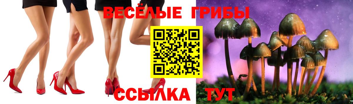 Галлюциногенные грибы GOLDEN TEACHER Нижний Тагил